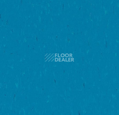 Линолеум Forbo Marmoleum Solid Piano 3645-364535 Neptune blue фото 1 | FLOORDEALER